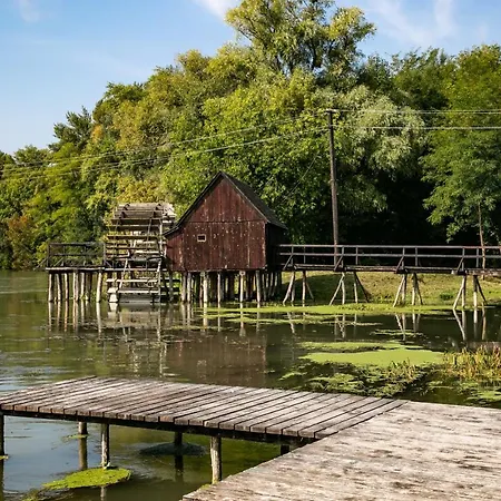 4starsds